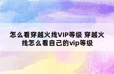 怎么看穿越火线VIP等级 穿越火线怎么看自己的vip等级